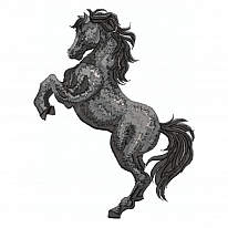 Дизайн для вышивки «Лошадь чёрная»