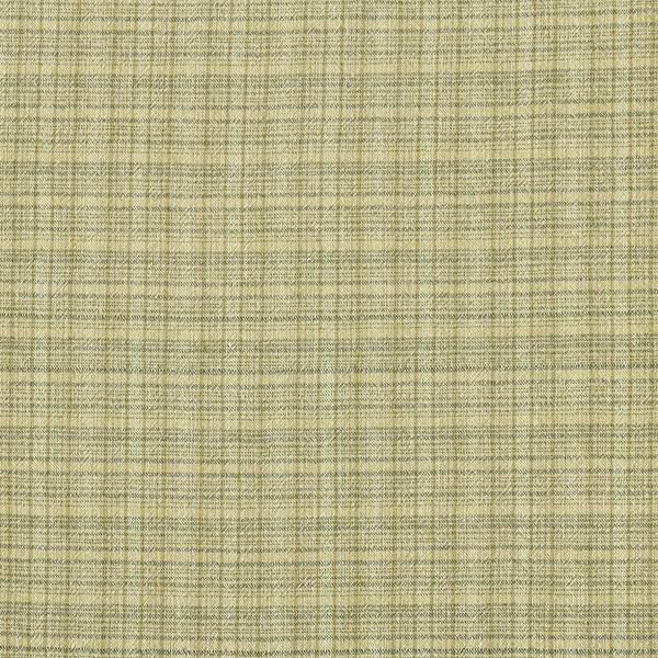Ткань хлопок для пэчворка для одежды зеленый, , EnjoyQuilt (арт. EY20075-C)