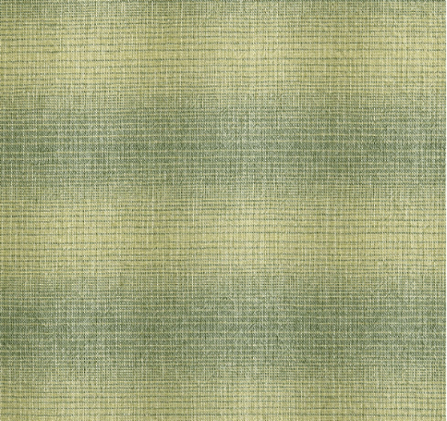 Ткань хлопок для пэчворка для одежды зеленый, , EnjoyQuilt (арт. EY20083-A)