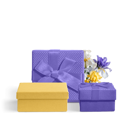 фото категории