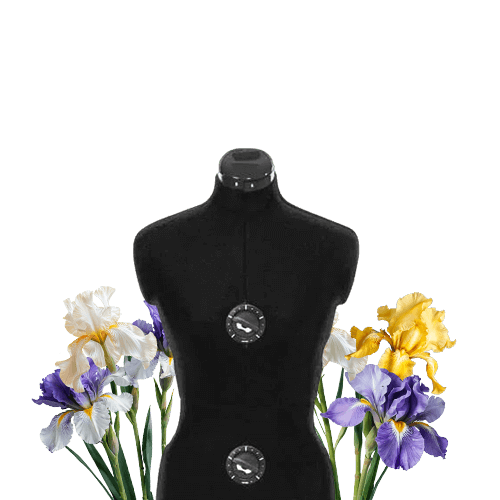 фото категории