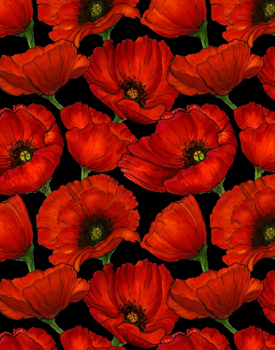 Ткань хлопок пэчворк красный черный, цветы, Blank Quilting (арт. )