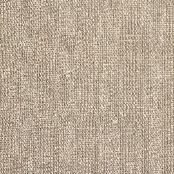Ткань хлопок для пэчворка для одежды бежевый, , EnjoyQuilt (арт. EY20039-H)
