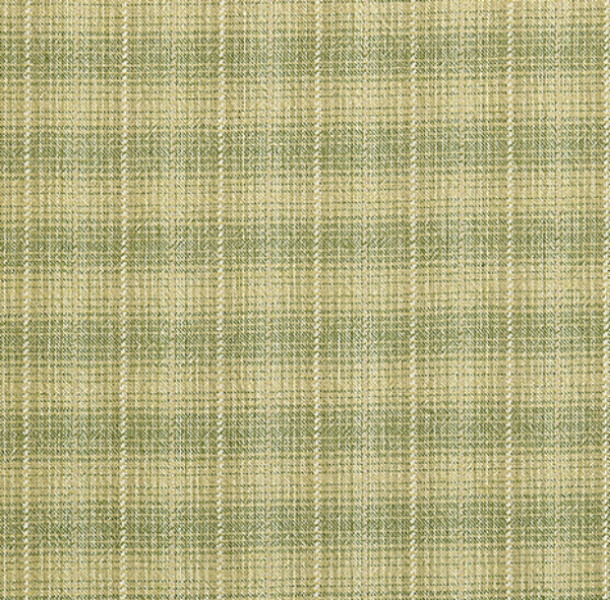 Ткань хлопок для пэчворка для одежды травяной, , EnjoyQuilt (арт. EY20090-F)