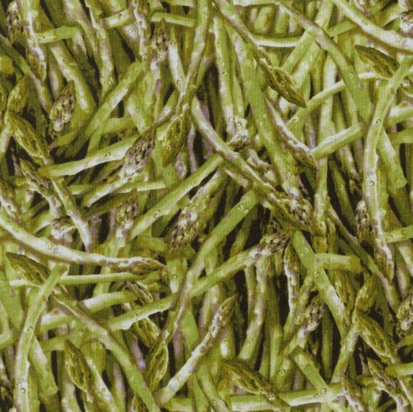 Ткань хлопок пэчворк травяной, еда и напитки овощи, RJR (арт. 123542)
