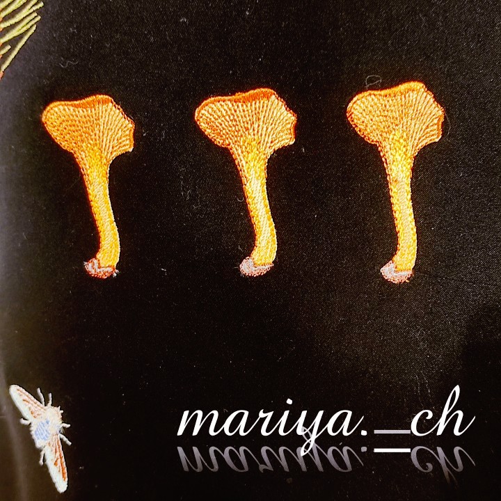 Плащ с вышивкой «Родное болото»