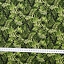 Ткань хлопок для пэчворка зеленый, флора, Michael Miller (арт. CX11148-GREE-D)