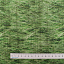 Ткань хлопок пэчворк зеленый, природа флора, Benartex (арт. 10274-44)