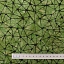 Ткань хлопок для пэчворка зеленый, необычные геометрия батик, Moda (арт. 4357 36)