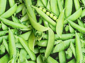 Ткань для лоскутного шитья [654GREEN]