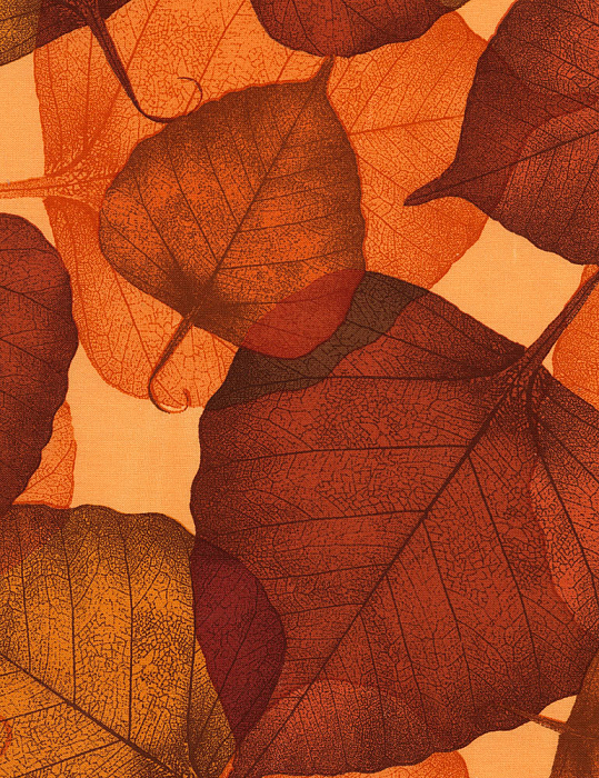 Ткань хлопок ткани на изнанку коричневый, фактура осень, Timeless Treasures (арт. XFlora-C1053-Russet)