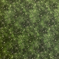 Ткань для лоскутного шитья [AU-NY-261]