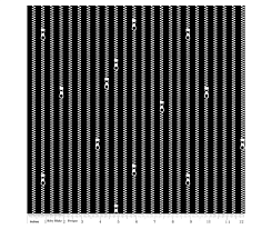 Ткань 100% хлопок [C10597-BLACK]