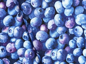Ткань для лоскутного шитья [509BLUE]