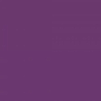 Ткань 100% хлопок [C120-EGGPLANT]