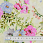 Ткань хлопок для пэчворка бежевый, цветы, Windham Fabrics (арт. 52591-2)