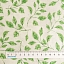 Ткань хлопок для пэчворка для одежды белый, флора, Windham Fabrics (арт. 53709-2)