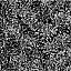 Ткань хлопок пэчворк черный, цветы флора, Benartex (арт. 1040790B)