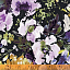 Ткань хлопок пэчворк разноцветные, цветы, Windham Fabrics (арт. )