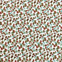 Ткань для лоскутного шитья [AU-NY-221]