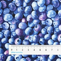 Ткань для лоскутного шитья [509BLUE]