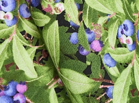 Ткань для лоскутного шитья [151GREEN]