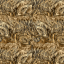 Ткань хлопок пэчворк коричневый, природа флора, Blank Quilting (арт. 8617-35)