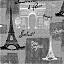 Ткань хлопок для пэчворка для одежды серый, страны и города, Timeless Treasures (арт. PARIS-C8688-BLACK)