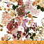 Ткань хлопок пэчворк разноцветные, цветы флора, Windham Fabrics (арт. 52251-1)