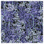 Ткань хлопок пэчворк сиреневый, природа флора, Robert Kaufman (арт. SRKM-20019-80)