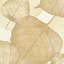 Ткань хлопок ткани на изнанку бежевый, фактура, Timeless Treasures (арт. 249240)