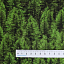 Ткань хлопок пэчворк зеленый, природа флора, Windham Fabrics (арт. 52115D-X)