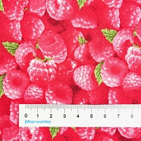 Ткань для лоскутного шитья [154RASPBERRY]