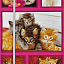Ткань хлопок пэчворк разноцветные, животные коты и кошки, ALFA (арт. П168)