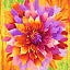 Ткань хлопок пэчворк разноцветные, цветы, Timeless Treasures (арт. Dream-C6257-Bright)