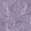 Ткань хлопок пэчворк сиреневый, цветы пейсли, Henry Glass (арт. 237135)