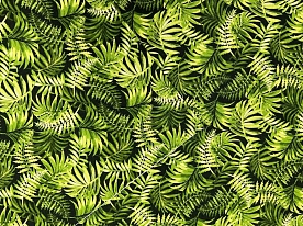 Ткань для лоскутного шитья [CX11148-GREE-D]