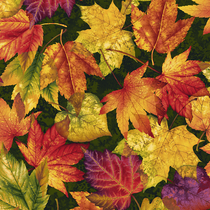 Ткань хлопок пэчворк разноцветные, осень, Henry Glass (арт. 249454)