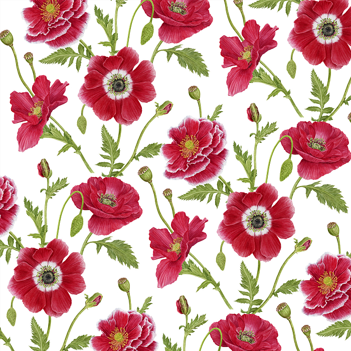 Ткань хлопок пэчворк красный белый, цветы, Henry Glass (арт. 237074)