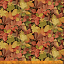 Ткань хлопок пэчворк красный, осень флора, Windham Fabrics (арт. 52112D-X)