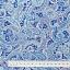 Ткань хлопок для пэчворка для одежды синий, цветы пейсли флора, Blank Quilting (арт. 1423-70)
