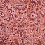 Ткань хлопок пэчворк розовый малиновый, пейсли, Timeless Treasures (арт. 118676)