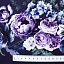 Ткань хлопок для пэчворка для одежды фиолетовый, цветы бордюры, Timeless Treasures (арт. FLEUR-CD8877-PURPLE)