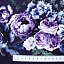 Ткань хлопок пэчворк фиолетовый, цветы бордюры, Timeless Treasures (арт. FLEUR-CD8877-PURPLE)