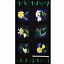 Ткань хлопок пэчворк черный, птицы и бабочки цветы металлик, Benartex (арт. 9751M-55)
