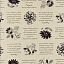Ткань хлопок пэчворк черный, надписи цветы, Lecien (арт. 231783)