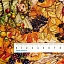 Ткань хлопок для пэчворка коричневый, осень, Michael Miller (арт. 5416-11)