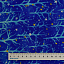 Ткань хлопок пэчворк синий, природа новый год флора, Studio E (арт. 5638-77)