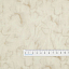 Ткань хлопок пэчворк бежевый, муар, Blank Quilting (арт. 2669-41)
