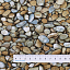 Ткань хлопок пэчворк коричневый, морская тематика природа флора, Blank Quilting (арт. 8627-95)